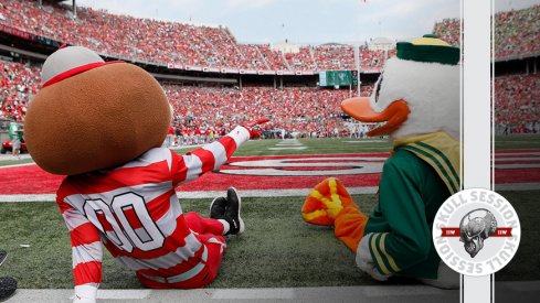 Brutus and the duck are friends in today's skull session.