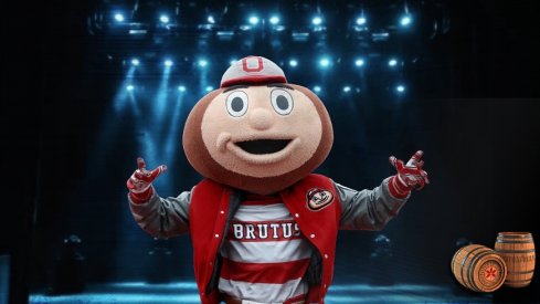 brutus is rockin'
