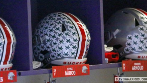 Ohio State Buckeyes helmets