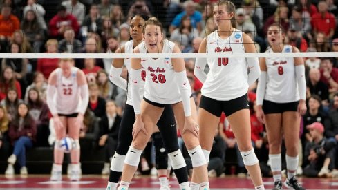 Rylee Rader of the Ohio State Buckeyes Women's Volleyball Team