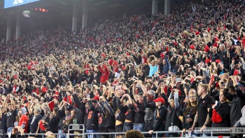 Fans at Ohio Stadium