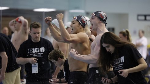 Ohio State men’s swimming and diving