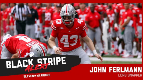 John Ferlmann Black Stripe Alert