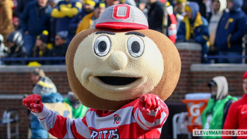 Brutus Buckeye