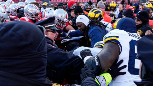 Ohio State/Michigan Melee