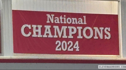 A New Banner in the Woody