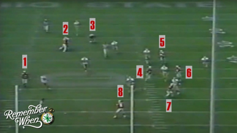 Ohio State wide receiver David Boston scores a touchdown with only eight Buckeyes on the field against Pittsburgh in 1996.