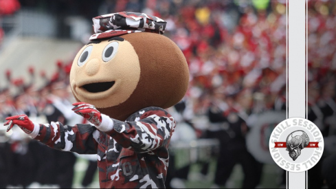 Brutus Buckeye