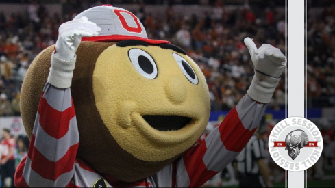 Brutus Buckeye