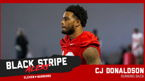 CJ Donaldson black stripe graphic