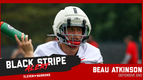 Beau Atkinson black stripe