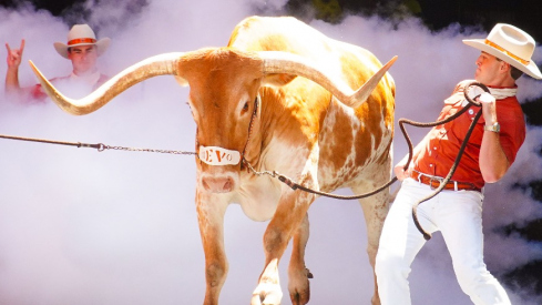 Bevo