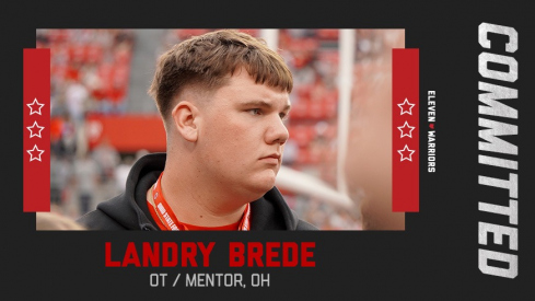 Landry Brede