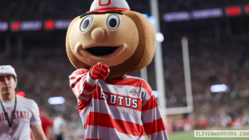 Brutus