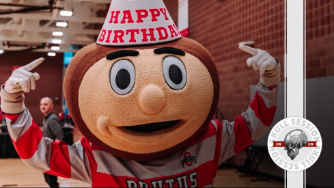 Brutus Buckeye