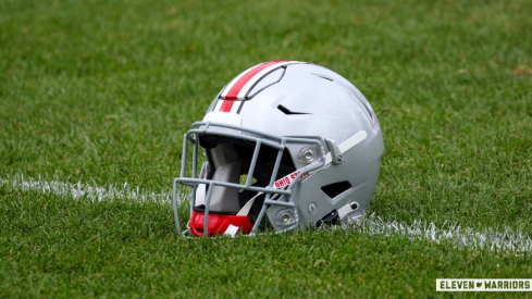 Ohio State Helmet