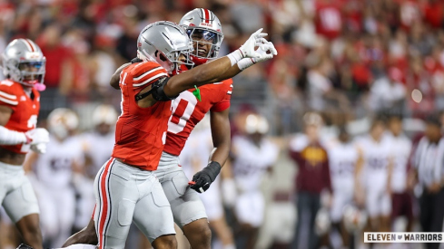 Lorenzo Styles Jr. and Sonny Styles at Ohio State in 2025
