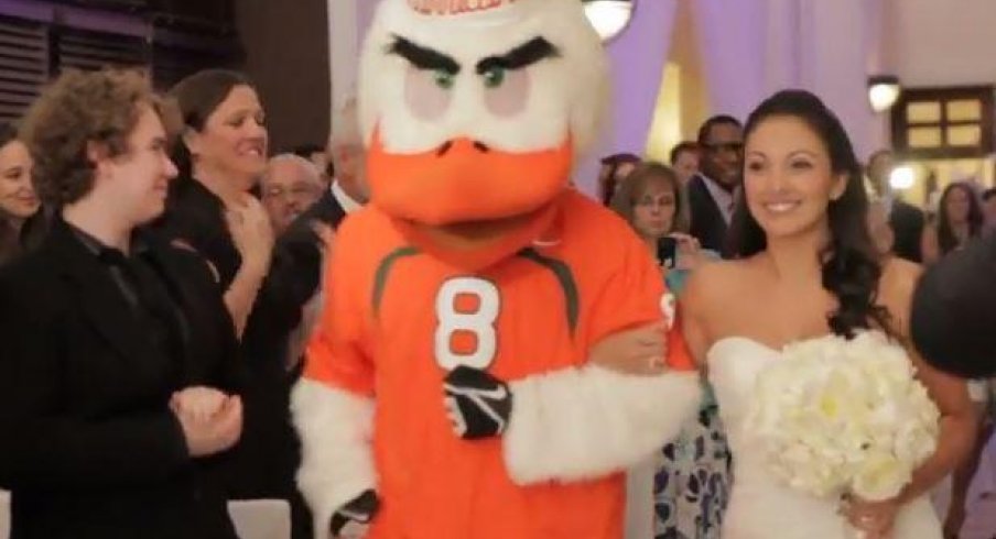 Sebastian the Ibis walks bride down the aisle