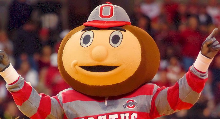 Brutus Buckeye is pretty jacked.