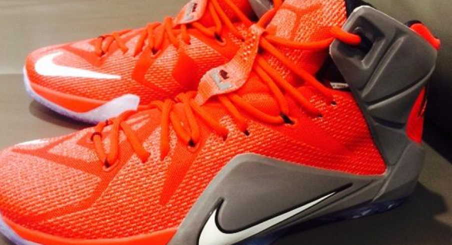 Thanks LeBron: Customized LeBron 12s