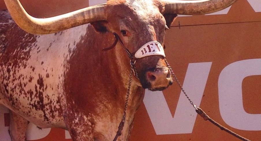 BEVO