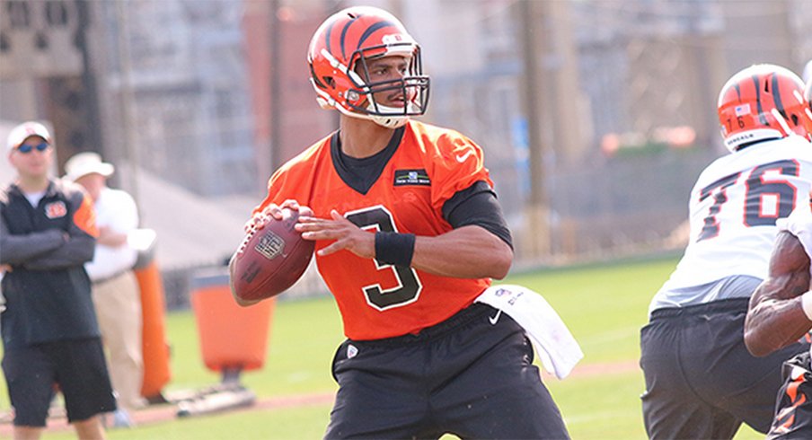 Terrelle Pryor during the first day of his Bengals' tryout.