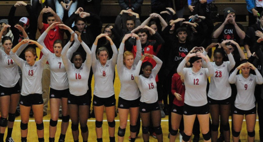 volleyball team numbers