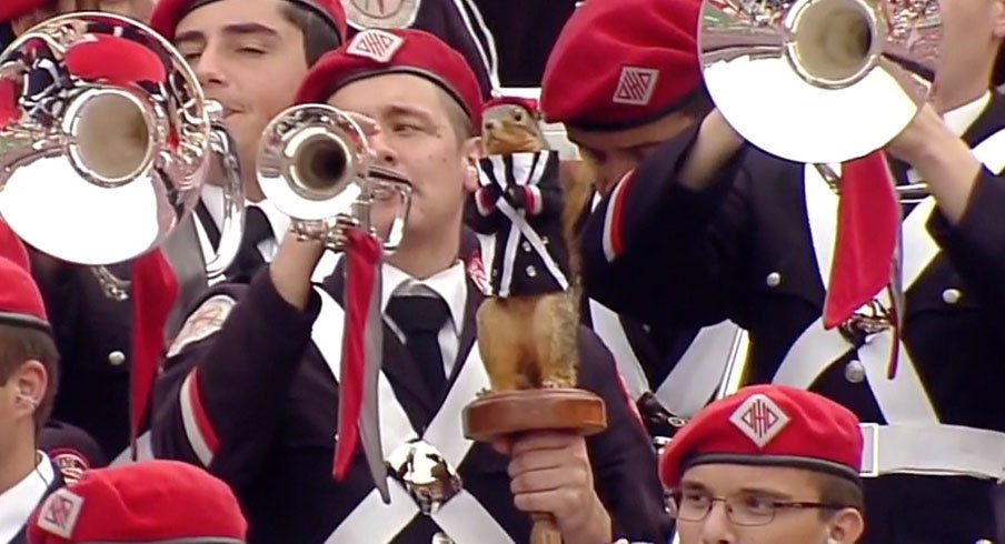 Scarlet the squirrel, mascot of TBDBITL's S Row