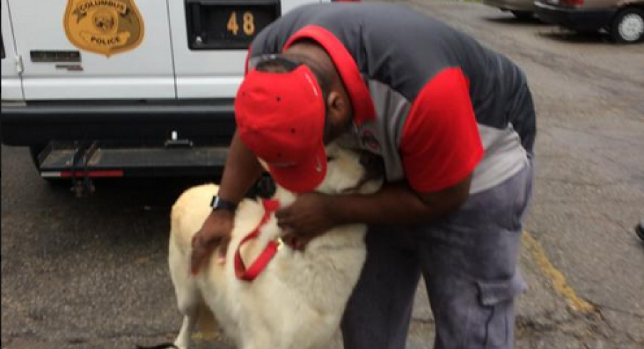 Ezekiel Elliott's dog is found.