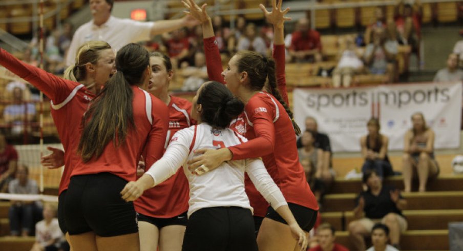 Ohio State's women's volleyball team celebrates a win.