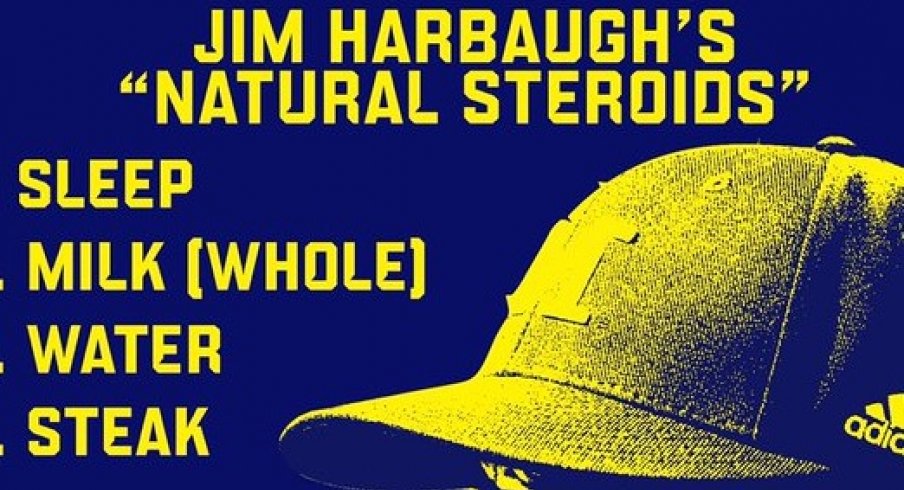 Jim Harbaugh's steroid charts.