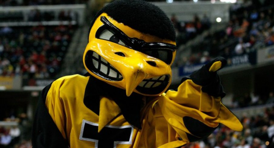 Hawky the Hawkeye