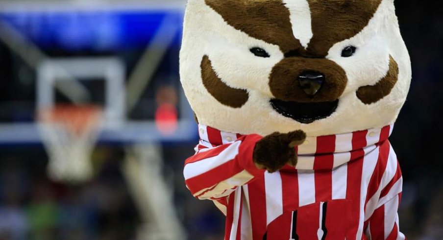 Bucky Badger