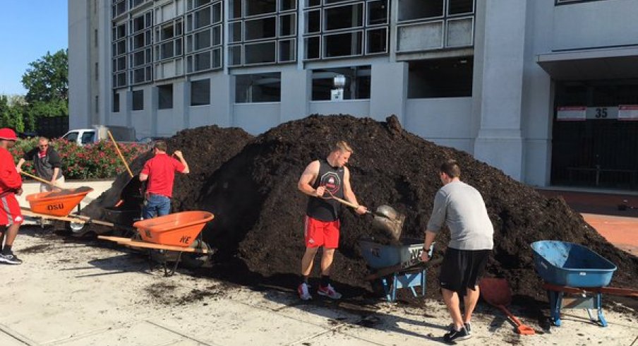 The Scarlet team mulches Buckeye Grove.