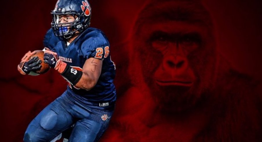 Harambe Used in Utah Recruiting graphic lol RIP Harambe