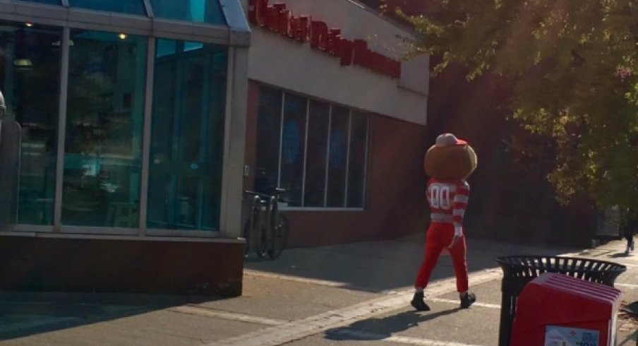 Brutus walking south past 12th Ave on High Street.