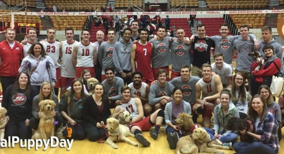 National Puppy Day with the Ohio State men's volleyball team.