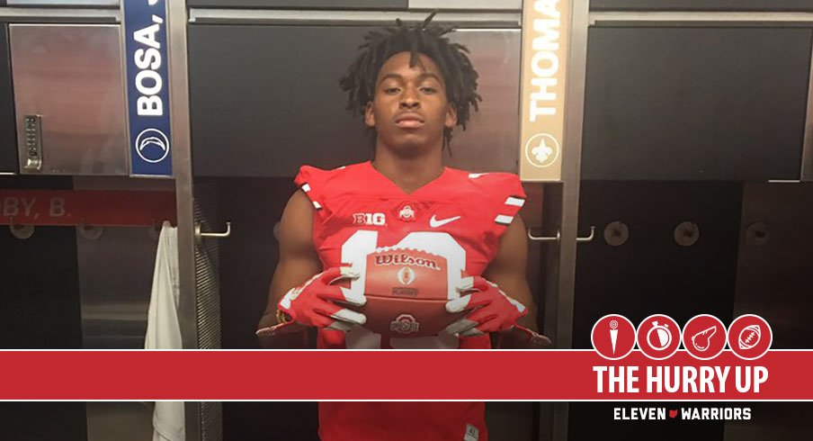 Trey Knox