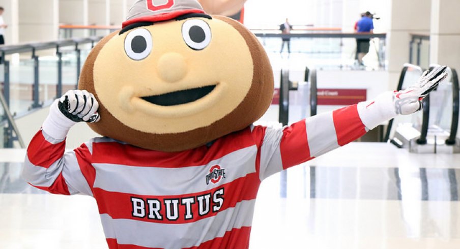 Brutus Buckeye.