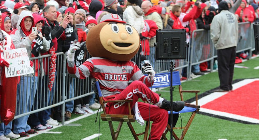 Brutus Buckeye.