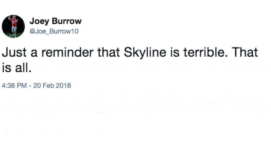 joe burrow skyline