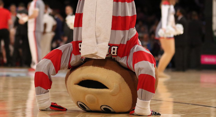 Brutus can't wait to bet on the Buckeyes.