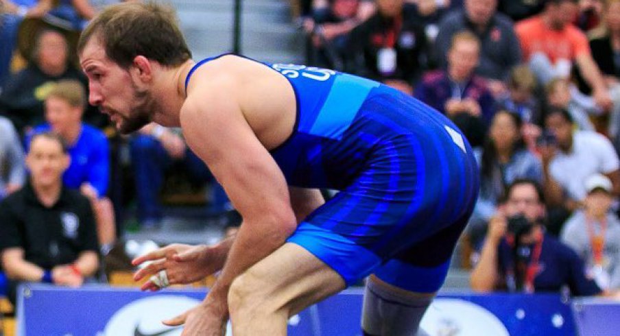 logan stieber