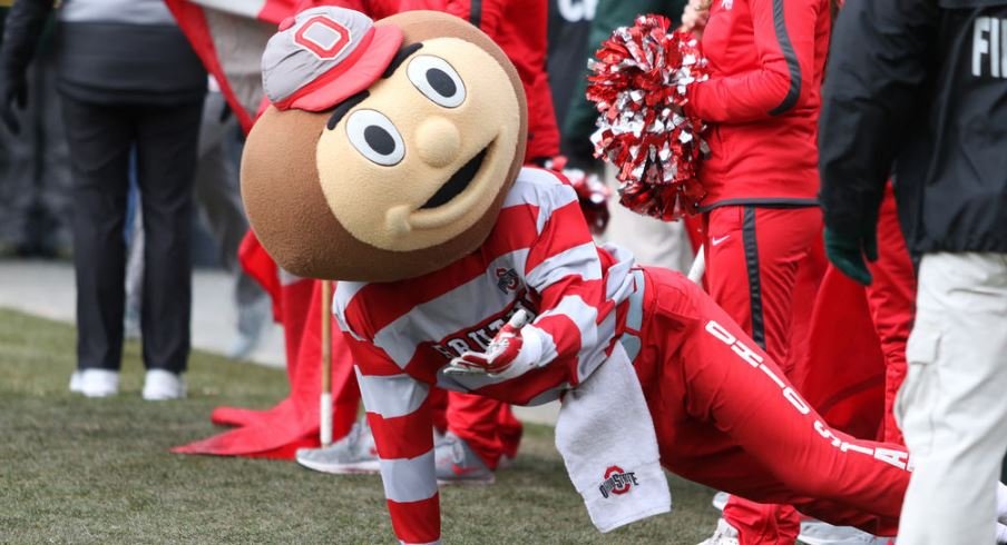 Brutus Buckeye