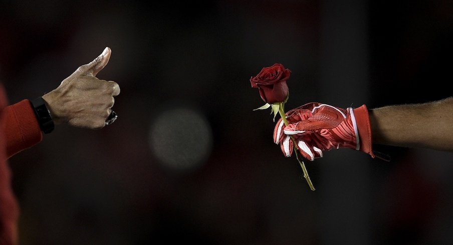Highest-rated rose bowl.