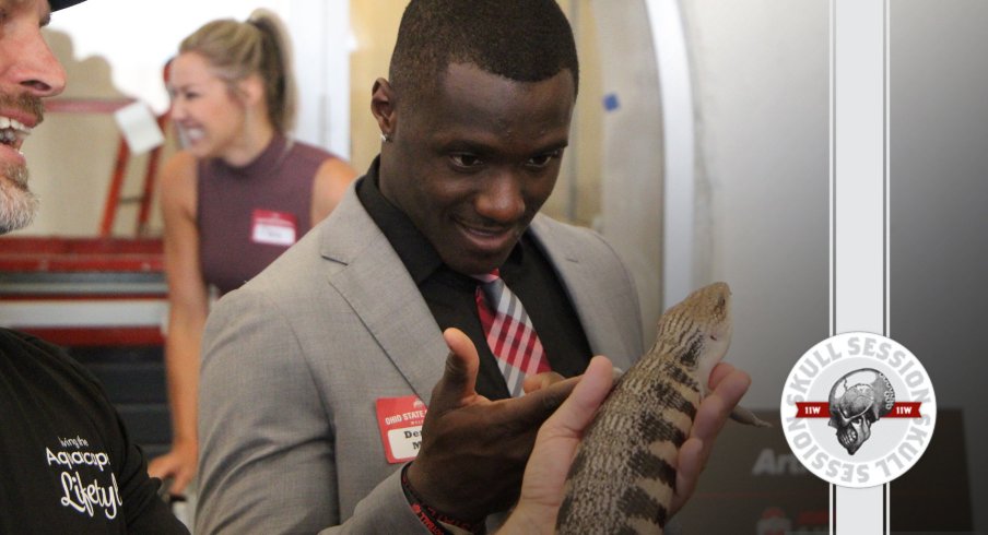 Demario McCall is fascinated by a reptilian creature in today's skull session.