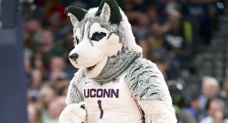 UConn back home