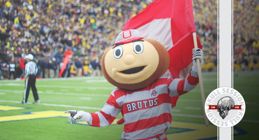 Brutus is ready for The Game in today's Skull Session.