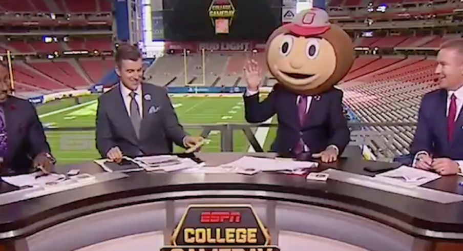 Corso Picks Brutus