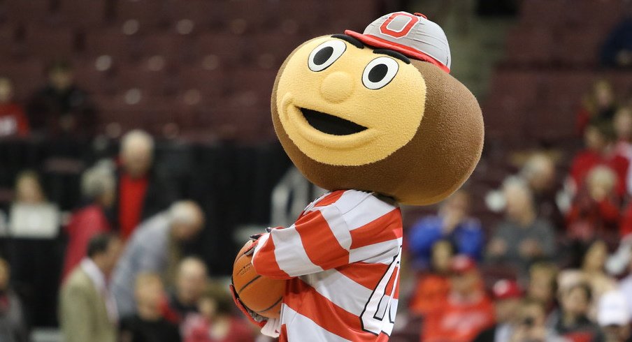 Brutus Buckeye